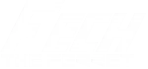 logo of the game Fech The Ferret